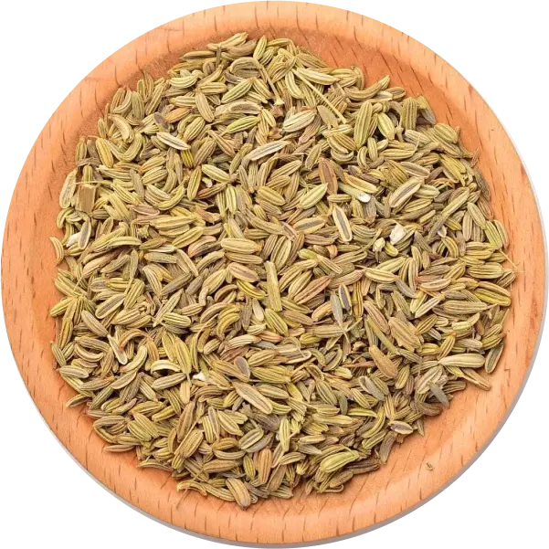 Cumin Seeds Manufacturers in India