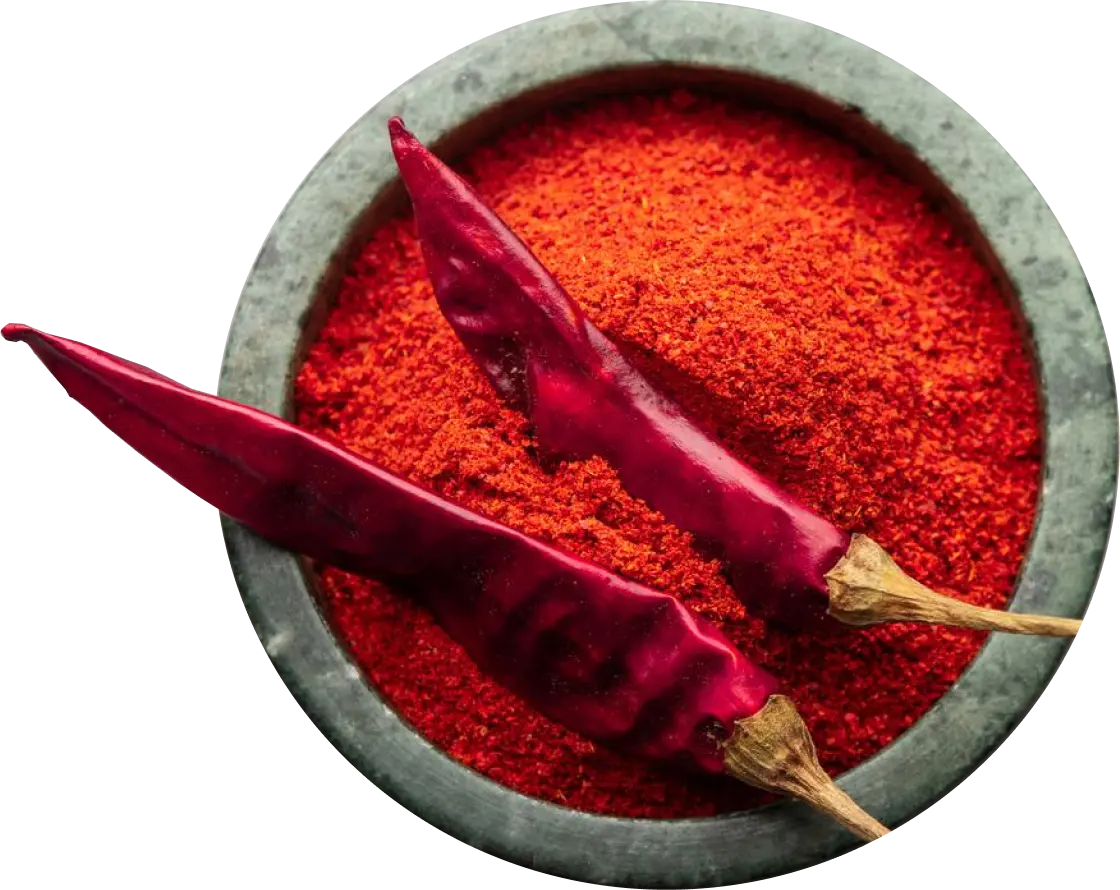 Dry Red Chilli Export from India
