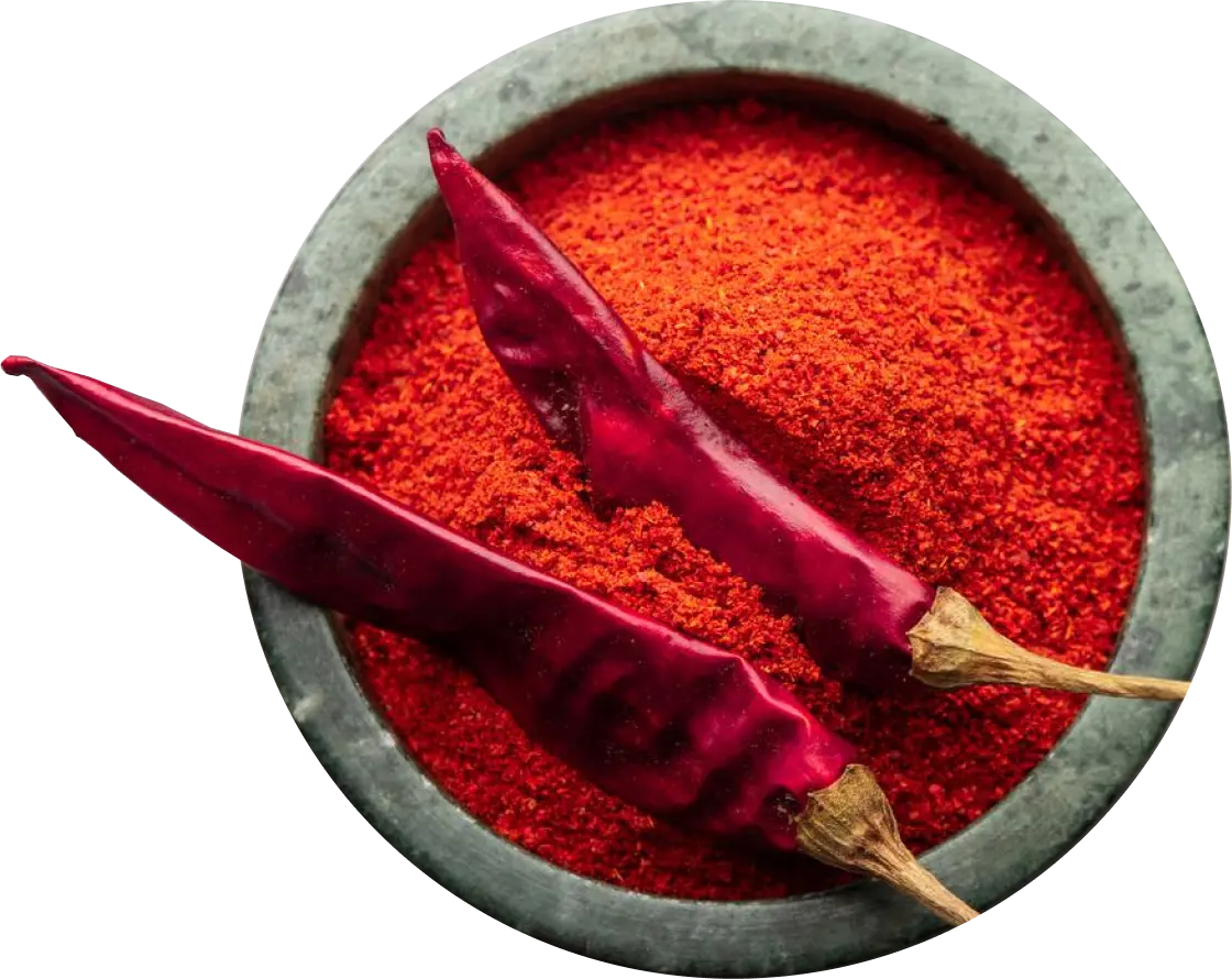 Red Chilli Exporters in India