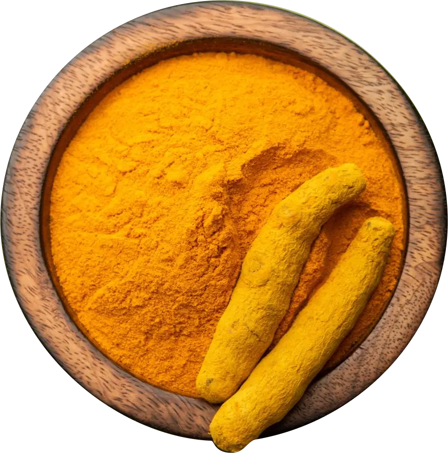 Turmeric Powder Exporters in India