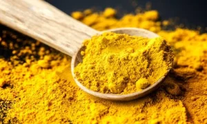 Turmeric Powder Exporters in India