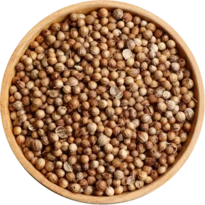 Coriander Seeds Supplier