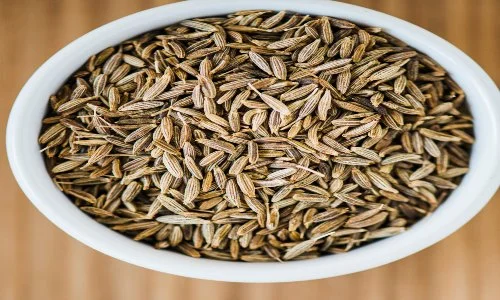 Cumin Exporters India