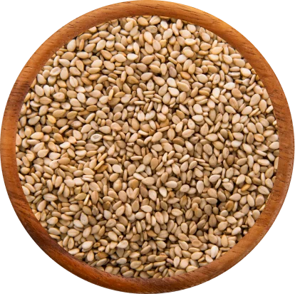 Sesame Seeds Exporters in India