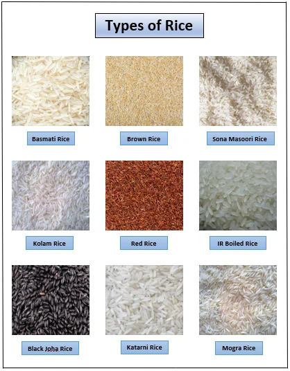 Basmati Rice Suppliers in India