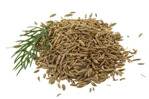 Cumin Seeds Exporters India