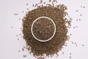 Cumin Seeds Suppliers in India