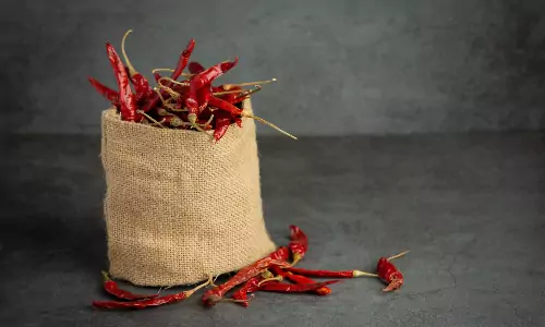Dry Red Chilli Export from India with Vora Spice