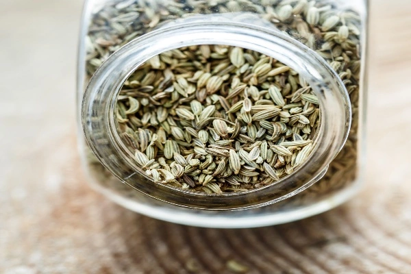 Fennel Seeds: A Flavourful Mouth Freshener Packed with Nutrients