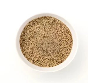 Ajwain (Carom Seeds) by Vora Spices