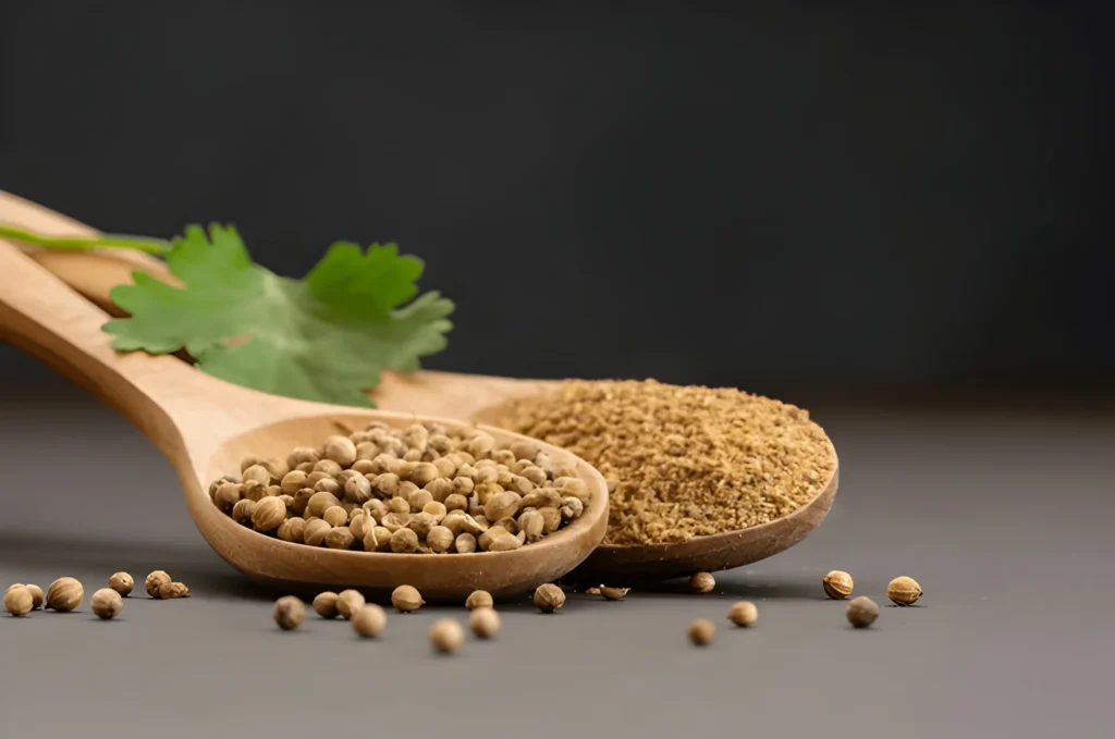 Coriander Seeds Supplier