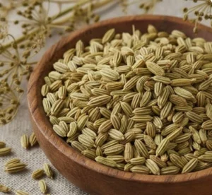 Fennel Seeds