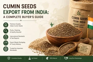 cumin seeds export from india