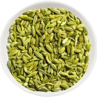 Fennel Seeds Suppliers