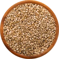 Sesame Seeds Exporters in India 